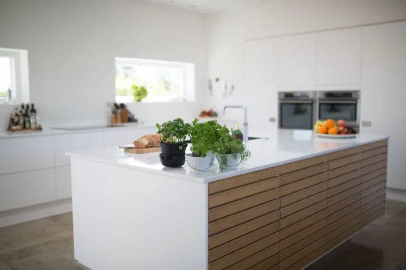 Modern kitchen with a timber fronted island