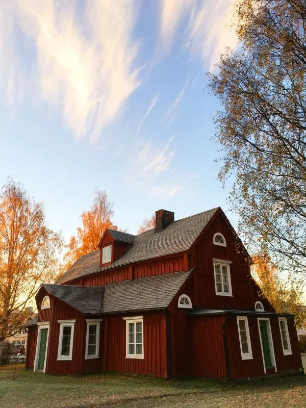 Pitched roof against an open sky